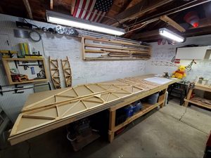 header image for 1/17/21