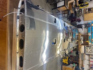 header image for Wing Skins
