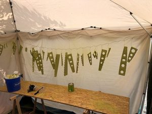 header image for Entry: Wed May 19 2021